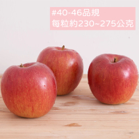 【FruitGo 馥果】日本青森縣蜜富士蘋果34-36顆x1箱_240g±10%/顆_11kg±10%/箱(原裝箱_陽光富士蘋果)