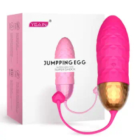 Wireless Vibrator Female Adult Toy USB Charging Vibrator Panties Vibrating Egg G-spot Clitoral Sex Toy Female