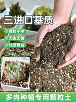多肉專用顆粒土進口赤玉土鹿沼土品氏泥炭營養土壤園藝種植多肉土