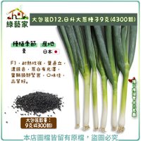【綠藝家】大包裝D12.日升大蔥種子9克(4300顆)