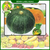 Benih Buah Buahan Semangka Strawberi Melon Labu Benih Bibit Murah Berkualitas Labu Hijau