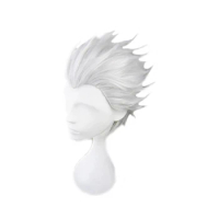 Fate Stay Night Go Extra Archer Emiya Wigs Short Silvery Heat Resistant Synthetic Hair Anime Costume Cosplay Wig + Wig Cap