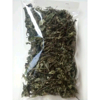 daun kumis kucing kering asli alami