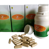 Arzed Zedoaria Herbal Alami Anti Kanker - Tanaman Temu Putih 100% Ekstrak