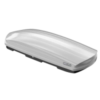 Auto Small Size ABS Cargo Case Luggage Car roof box ,roof cargo box