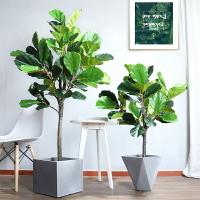 琴葉榕大型北歐ins仿真綠植盆栽客廳室內落地植物擺件裝飾假盆景