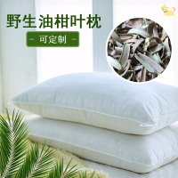 新曬油柑葉 新貨散裝油柑葉 新鮮牛甘葉苦蕎麥殼枕頭枕芯填充枕芯