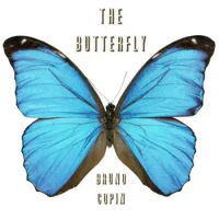 The Butterfly by Bruno Copin -Magic tricks