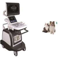 Full Digital Laptop Ultrasound System Veterinary Portable Ultrasound Scanner Animal Medical Ultrasound Instruments