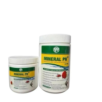 Khoáng Bột MINERAL PN+ Vitamin C + Vi Sinh Cho Bể Cá Cảnh / Khoáng Cho Hồ Cá