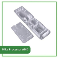 Mika Processor AMD | Tempat Processor AMD