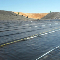 factory directly dam pond liner price hdpe geomembrane