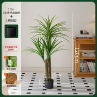 掬涵北歐輕奢模擬綠植龍血樹大型落地盆栽高階假植物客廳裝飾擺件