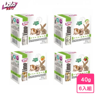 【歐洲LOLO】小動物礦物質磨牙石 40g*6入組(鼠兔零食保健)