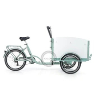 Three Wheel Cargo Bike For Sale Adult Tricycle With Child Seats Electric Cargo Tricycle Family Bike