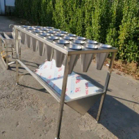 MEJA EVISERASI / PEMOTONGAN UNGGAS 24 CONE Stainless Steel SUS 304 Food Grade