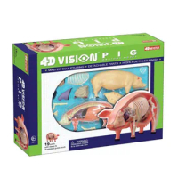 Children Gifts Educational 4D MASTER Assembling Animal Organ Anatomy Biological Model