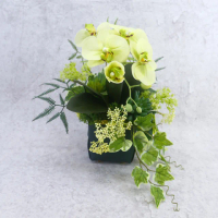 【HUGO DECO 榆果傢飾】淺綠蝴蝶蘭皮革盆香氛花禮(擬真花/花禮/永不凋零/佈置)
