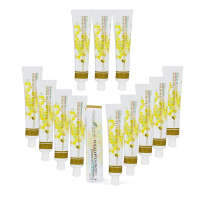 澳洲 HEALTH NATURE 尤加利蜂膠牙膏含薄荷風味(12入組 110g/條)