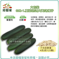【綠藝家】大包裝G62-1.夏福胡瓜(大黃瓜)種子4克(約125顆)