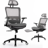 Ergonomic Mesh Office Chair w/ Footrest,High Back Computer Chair w/ Headrest &amp; 4D Flip-up Armrests,Lumbar Support-Grey/Black