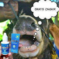 OBAT MANJUR PMK SAPI/vitamin PLUS untuk hewan ternak/atasi virus mulut dan kuku