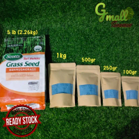 promo Biji Rumput Bermuda grass 100gr/benih rumput import scotts grass seed Hijau Tanaman