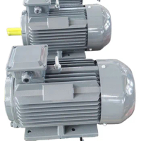 Asynchronous Ac Induction Electric Motor