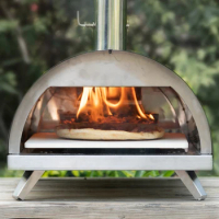 CHANGEMOORE Outdoor Pizza Oven 12 Inch Portable Pizza Oven Wood-Fired Adiabatic Pizza Machine Wood Pellet Burning Pizza Maker