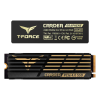 【Team 十銓】T-FORCE A440 黑曜女神 雙散熱片 4TB M.2 PCIe Gen4固態硬碟