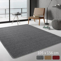 范登伯格 華爾街☆簡單的地毯-(共三色)105x156cm