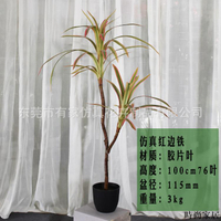免運 附發票 工廠直銷 仿真樹 仿真擺件 綠植軟裝專供仿真龍血鐵樹北歐巴西木假盆栽裝飾人造熱帶植物景觀造景WW0720