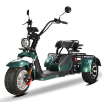 2000w 3 wheel electric scooter 60v 20ah battery electric motorcycle scooter chopper electric tricycle
