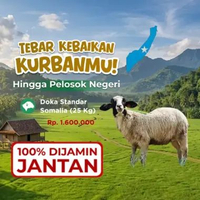 Kurban Qurban Kambing Unta Somalia - Dompet Dhuafa Doka Standar