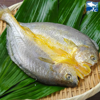 【阿家海鮮】黃魚一夜干210g±9%/尾