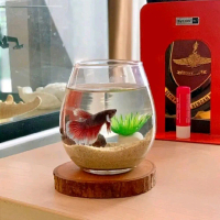 GARANSI PECAH | AKUARIUM CUPANG MINI BULAT BATU ALAM UNIK ESTETIK IKAN KECIL GUPPY