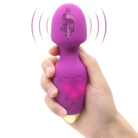 G Spot Female Dildo Vibrator Mini AV Vibrator USB Rechargeable Waterproof Female Vaginal Clitoris Vibrator Female Sex Toys