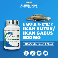 ALBUMINOS Ekstrak Ikan Gabus Bantu Luka Operasi Cepat Kering BPOM