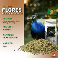 Arabica Green bean Coffee  Flores Dryhull / Fullwash Process KOMERSIAL GRADE Biji Kopi Arabika Low G
