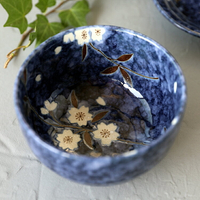 日本進口陶瓷餐具藍繪變櫻花多用碗飯碗粥碗小號面碗甜品碗骨碟