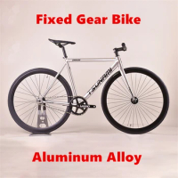 TSUNAMI SNM100 Fixed Gear Bike Aluminum Alloy Frame Single Speed Bicycle Fixie Bearing Hub Cycling Parts Customizable