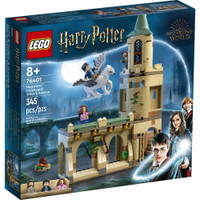 樂高LEGO 76401  Harry Potter 哈利波特系列 Hogwarts™ Courtyard: Sirius’s Rescue
