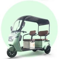 Three wheeled motorcycles electric tricycles 1000W adult electric freight transportation leisure tricycle