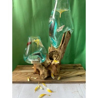 Aquarium cupang unik 2 in 1 size XL /Vas kaca / Pot Kaca Unik / AKUARIUM / AQUASCAPE