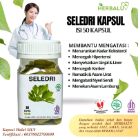Kapsul Daun Seledri Original 100% Herbal Isi 50 kapsul