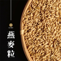 【咕榖】 燕麥粒（150g/500g）燕麥 燕麥粥 十穀 雜糧 燕麥牛奶