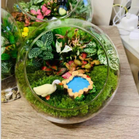 Micro landscape oblique glass vase, moss and succulent DIY ecological bottle, home office desk green plant decoration ornaments
