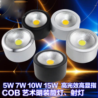 Fanlive 20pcs/lot Dimmable COB 3W 5W 7W 10W LED Downlight Waterproof Surface Mounted AC85V-265V Dining Room Spot Light