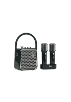 Divoom Divoom SongBird-SE Portable Dual Microphone Speaker - Black