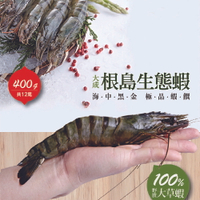 【大成食品】根島生態蝦 (400g/12p/盒) 野生 烤肉 大蝦 草蝦